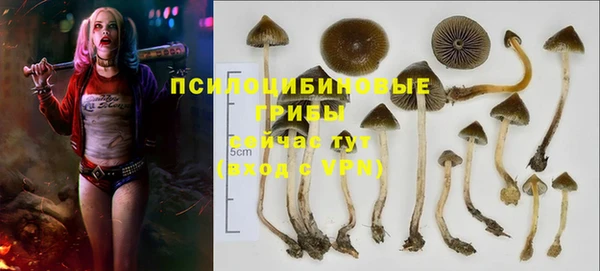 крисы Каменск-Шахтинский
