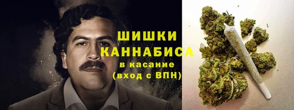 амф Зерноград