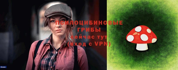 амф Зерноград