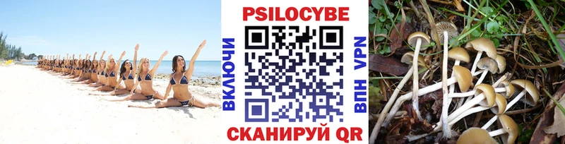 Псилоцибиновые грибы Psilocybine cubensis  Купить где  Железноводск 